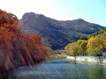 澳门二四六天天免费好材料，杂多冬虫夏草胶囊